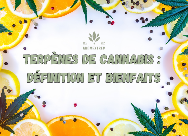 terpenes bienfaits