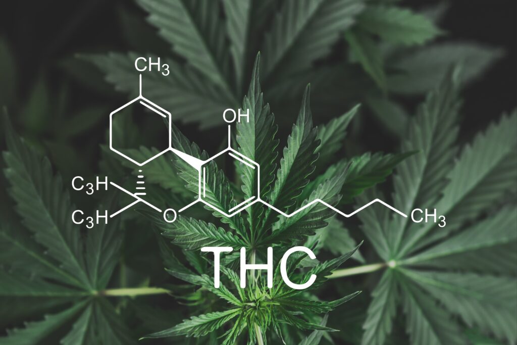 La molecule THC