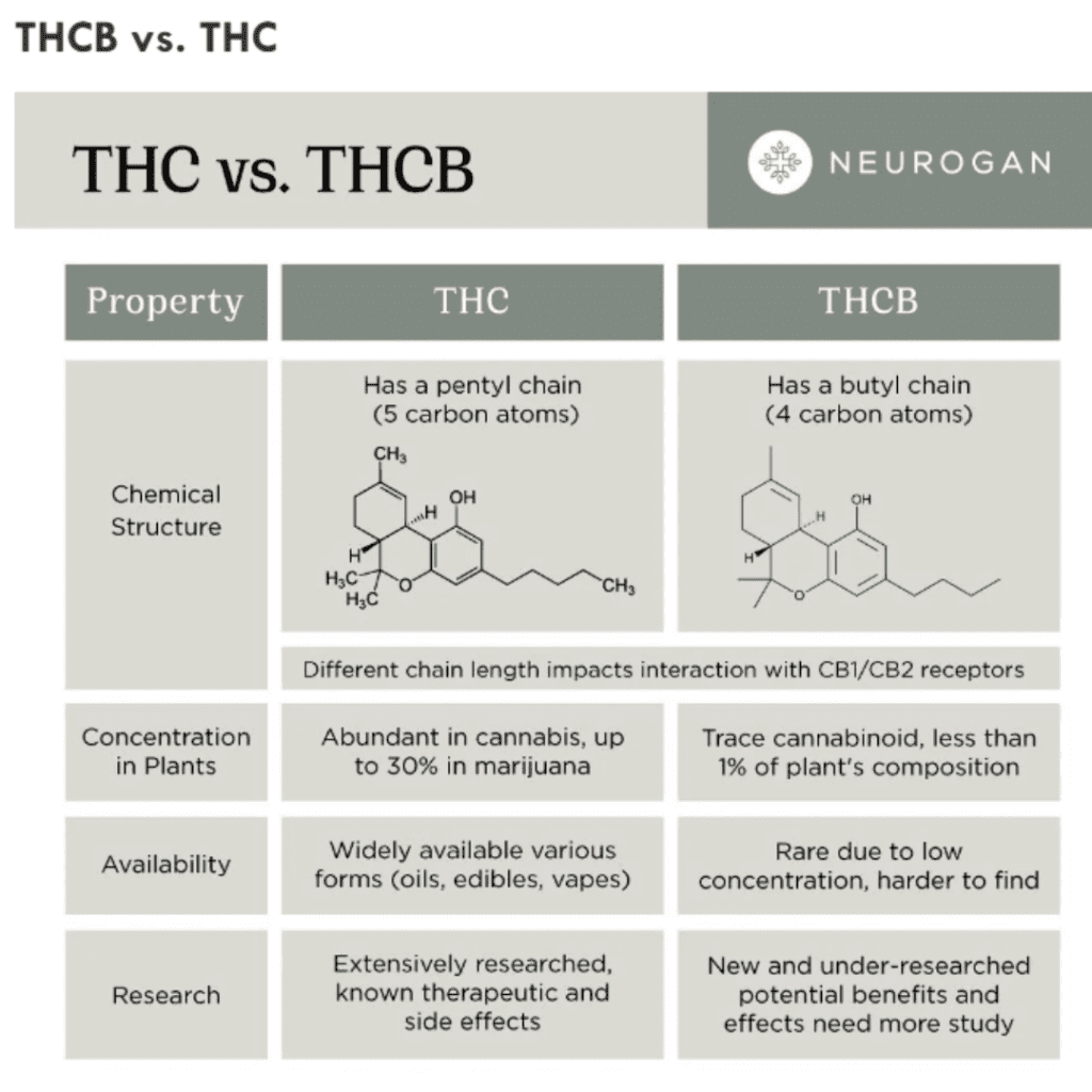 THC VS THCB