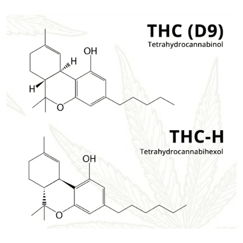 Difference thc et thcp