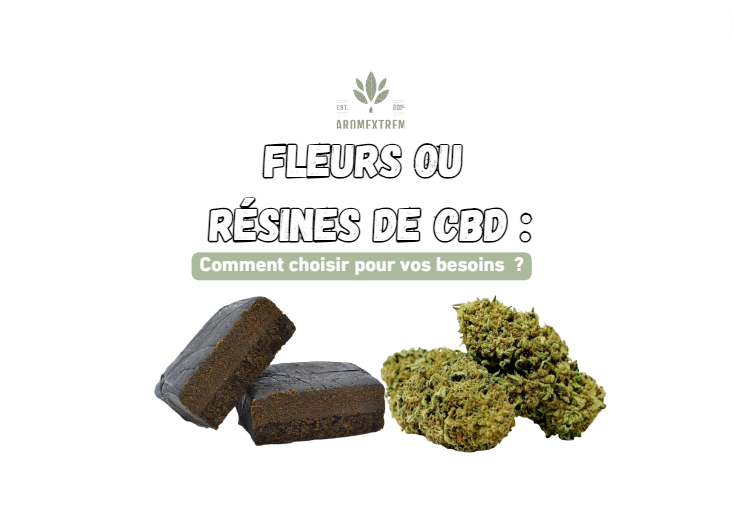 fleurs ou resine de cbd que choisir